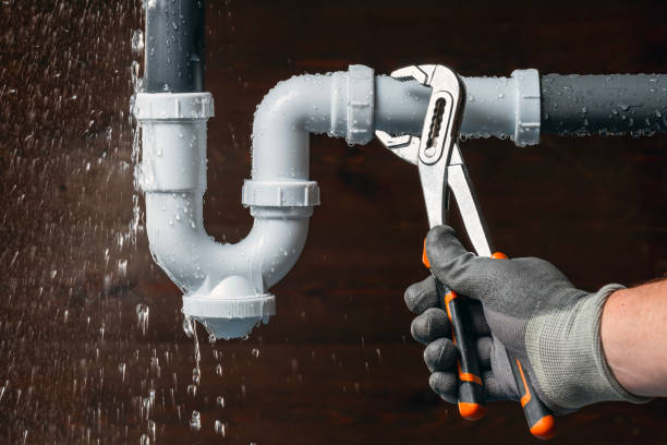 Professional Plumbing technician working in Chase, PA